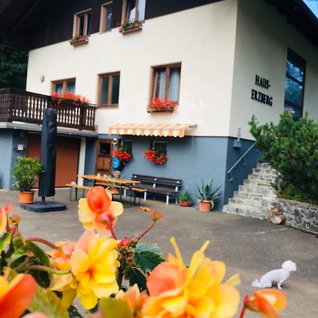 Bed and Breakfast Haus-Erzberg Vordernberg Esterno foto