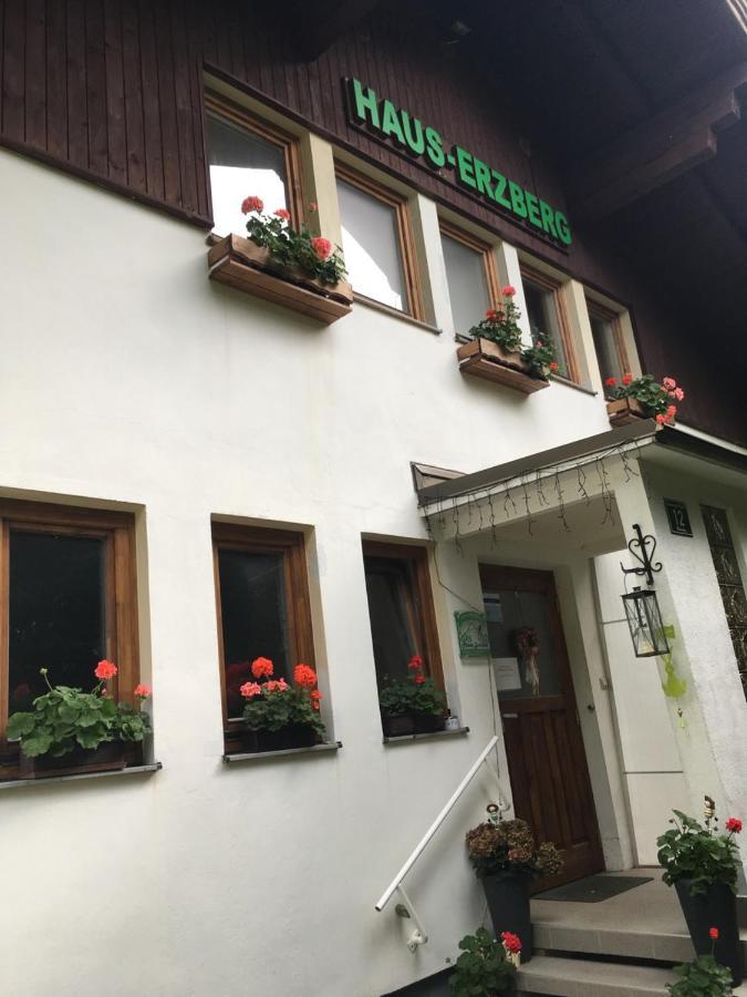 Bed and Breakfast Haus-Erzberg Vordernberg Esterno foto