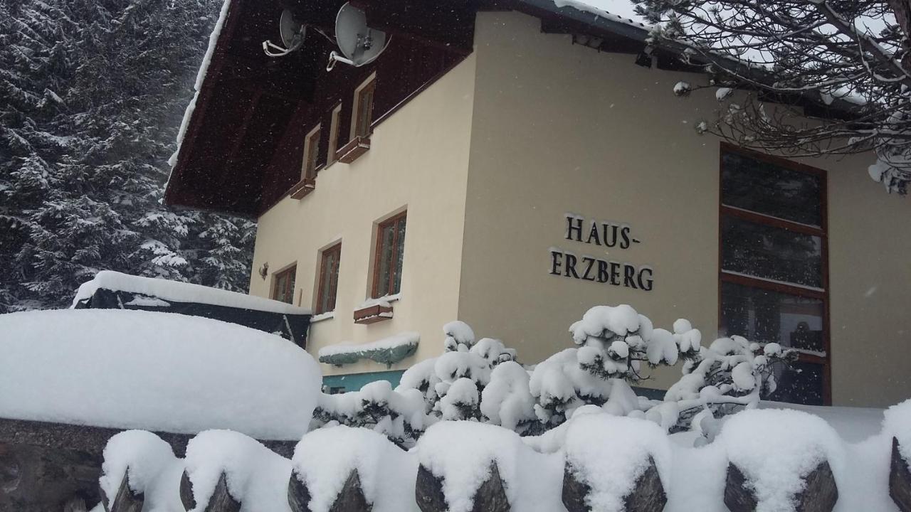Bed and Breakfast Haus-Erzberg Vordernberg Esterno foto