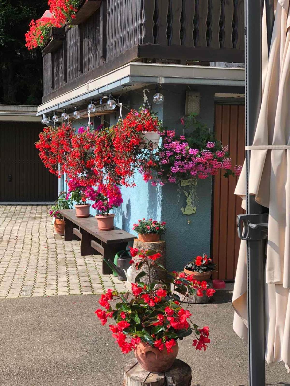Bed and Breakfast Haus-Erzberg Vordernberg Esterno foto