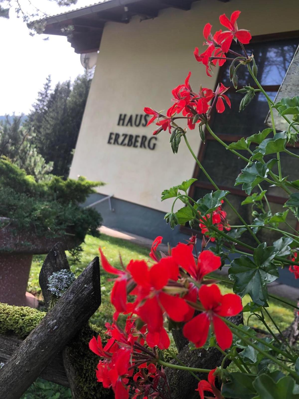 Bed and Breakfast Haus-Erzberg Vordernberg Esterno foto